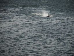 Gamla bilder 2