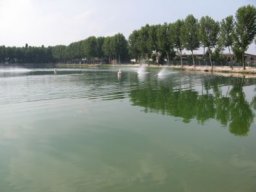 Gamla bilder 2