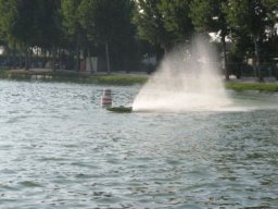 Gamla bilder 2