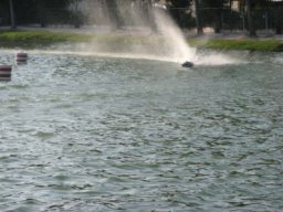 Gamla bilder 2