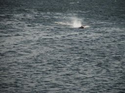 Gamla bilder 2