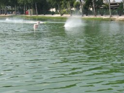 Gamla bilder 2