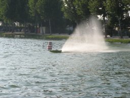 Gamla bilder 2