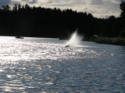 Gamla bilder 2