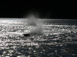 Gamla bilder 2