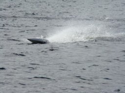 Gamla bilder 4
