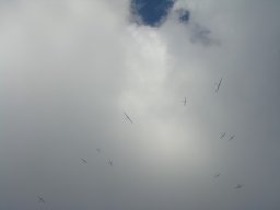 Gamla bilder 4
