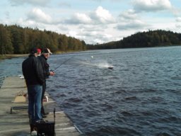 Gamla bilder 4