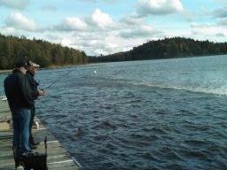 Gamla bilder 4