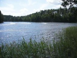 Gamla bilder 4