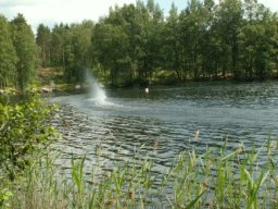 Gamla bilder 4