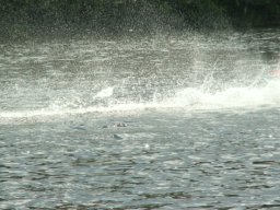 Gamla bilder 4