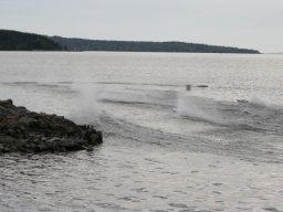 Gamla bilder 4